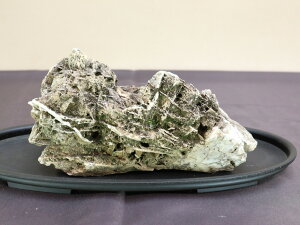 【水石】 熊本菊池渓谷石 【水槽レイアウト テラリウム アクアリウム】盆栽いよじ園