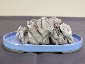 【水石】 仁淀川石(底切) 【水槽レイアウト テラリウム アクアリウム】盆栽いよじ園