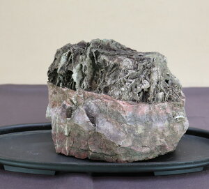 【水石】 仁淀川石 【水槽レイアウト テラリウム アクアリウム】盆栽いよじ園