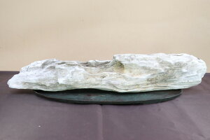 【付け石】 土佐石 【水槽レイアウト テラリウム アクアリウム】盆栽いよじ園