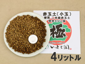楽天市場 赤玉土の通販