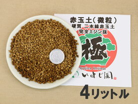 楽天市場 赤玉土 微粒の通販 楽天市場 赤玉土 微粒の通販