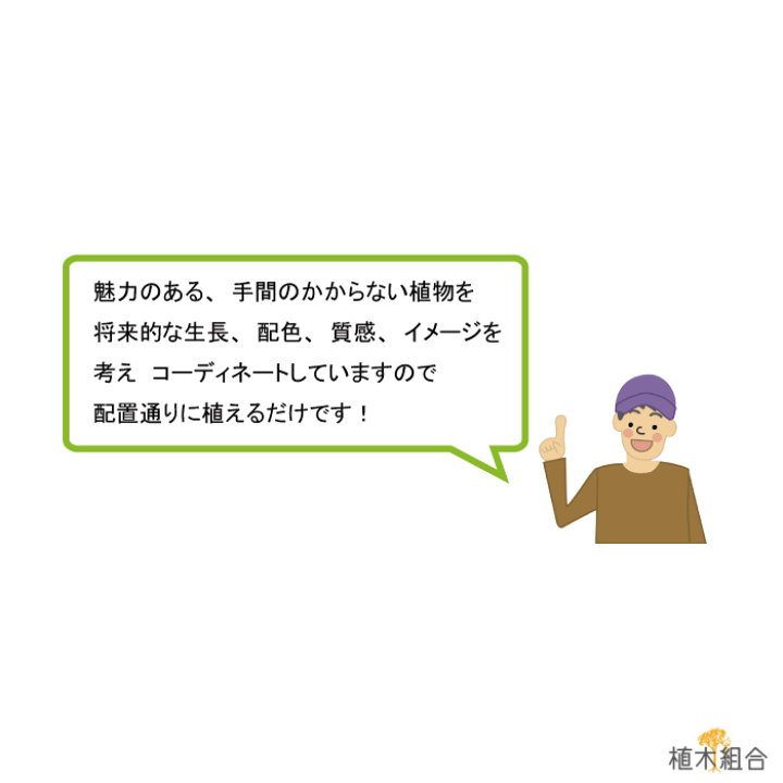 楽天市場 ガーデンセット S ナチュラル プロ監修配置案 ガイド 肥料 手袋付き 植木組合オリジナル おしゃれな庭に 人気の 植木 庭木 ガーデンプランツ ガーデニング 植木組合より産地直送 植木生産組合直営 植木組合