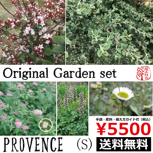 K[fZbg@S@v@X@iAAJTXPAKpTXɕςĂ͂܂jvďC@zuā@ȒɁ@lĆ@A؁@؁@K[fvc@K[fj