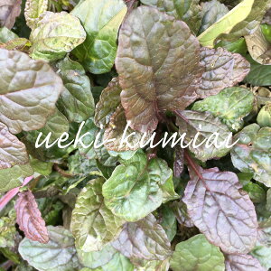 y3ZbgzAWK@v^X@9cm|bgyw䂪oȂ@̗tfGzΐ@h