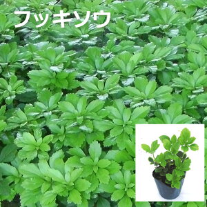 y3ZbgztbL\E@Ηt@c@9cm|bg