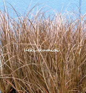 y3ZbgzJbNX@AEoE@c@10.5cmi3.5j|bg