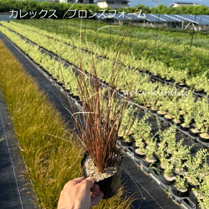 y3ZbgzJbNX@uYtH[@c@10.5cmi3.5j|bg