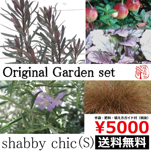 シャビーおしゃれなガーデンコーディネートセット植木組合オリジナル