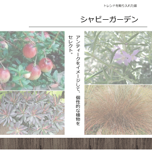シャビーおしゃれなガーデンコーディネートセット植木組合オリジナル