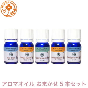 r̐X A}IC ܂ Zbg 5ml vp GbZVIC @vp@i x_[@[J@eB[gD[ ȂǐlC A}IC 5ޑIł͂