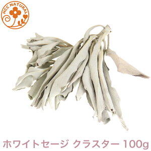 お香 100g ホワイトセージの通販 価格比較 価格 Com