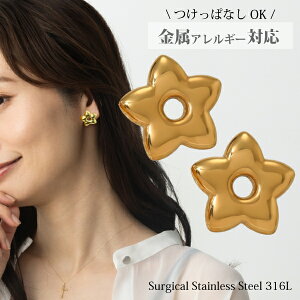 yPzyōiT[WJgpz AM[Ή T[WJXeX sAX   t[ ςȂ Ԃ 316l 316L S X^[  ANZT[ XLWG