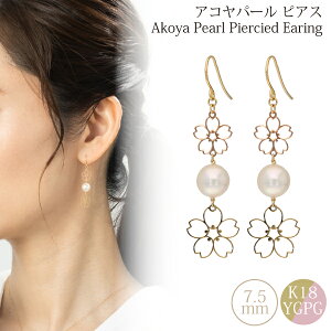 ^ sAX  ꗱ   h O  ^ ARL VR p[ ARp[ 18 18k CG[ sN zCg i   Ǝ w fB[