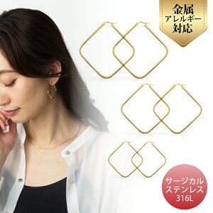 yōiT[WJgpz T[WJXeX sAX  t[vsAX XNGA lp 18k S[h pvd ςȂ 316l 316L Ԃ AΉ S AM[ Ή A A