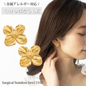 yS316Lfށz T[WJXeX nCA AM[Ή sAX   t[ ݊ ςȂ Ԃ 316l 316L S ANZT[ p AΉ 18k S[h pvd