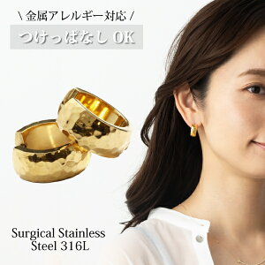 ItBX JWA ōiT[WJgp Љl w sAX t[vsAX  ςȂ  316L 316l 18k Y AM[ Ή L  ܂ pvd S[h ANZT