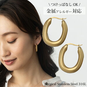 AM[Ή ANZT[ AΉ yōiT[WJgpz T[WJXeX 316l sAX t[vsAX Ԃ ςȂ 316L S Vv 18k S[h pvd  a