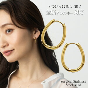 AM[Ή t[vsAX yōiT[WJgpz T[WJXeX 316l sAX t[v Ԃ Ή S 18k S[h pvd ANZT[ ςȂ 316L AM[ 