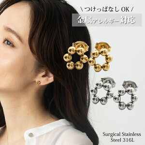 3000~ȉyōiT[WJgpzAM[Ή T[WJXeX 316l sAX ςȂ  {[ ۋ  18k S[h pvd ςȂ  316L A S A