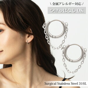 jp yōiT[WJgpz T[WJXeX sAX t[vsAX t[v  ςȂ `F[ h 2A 316l 316L AM[ Ή S Vv JWA