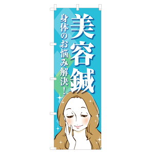 のぼり 美容鍼 NSV-1123 600×1800mm テトロンポンジ製 のぼり旗 【受注生産品】 4000351