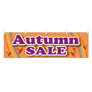 ���� Autumm SALE NSV-0751 �iY45�EY60�j 1�� �y�󒍐��Y�i�z