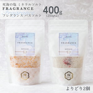 [N[|L] fbhV[ tOX oX\g ǂ2Zbg 400g(200g x 2) C̉  VR   Mtg }OlVE   ێ Ђ̂  䂸 
