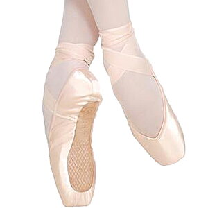 OVR@gEV[Y@tFbe@PRO FLEX@VNMyyΉ_֓z