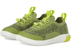 (���) �L�[�� �L�b�Y KNX �j�b�g �X�j�[�J�[ (�g�h���[ ���g�� �L�b�h) KEEN Kids KNX Knit Sneaker (Toddler/Little Kid) Iguana/Evening Primrose