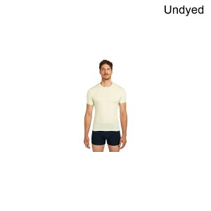 (���) �A�C�X�u���C�J�[ �����Y �����m �A�i�g�~�J 150 �V���[�g �X���[�u �N���[ - �����Y Icebreaker men Merino Anatomica 150 Short Sleeve Crewe - Men's Undyed
