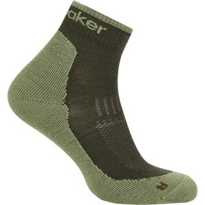 (���) �A�C�X�u���C�J�[ �����Y �����m �n�C�N+ ���C�g �~�j �\�b�N - �����Y Icebreaker men Merino Hike+ Light Mini Sock - Men's Dk Loden/Lichen