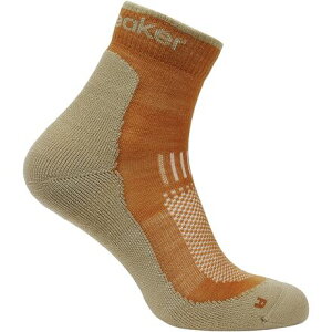 (���) �A�C�X�u���C�J�[ �����Y �����m �n�C�N+ ���C�g �~�j �\�b�N - �����Y Icebreaker men Merino Hike+ Light Mini Sock - Men's Trail/Flagstone