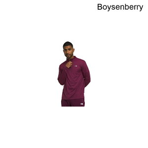 (���) �m�[�X�t�F�C�X �����Y �G�����F�C�V���� 1/4-�W�b�v �g�b�v - �����Y The North Face men Elevation 1/4-Zip Top - Men's Boysenberry