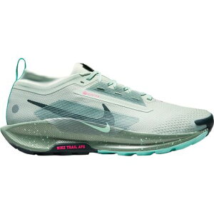 (���) �i�C�L �����Y �y�K�T�X �g���C�� 5 �S�A-�e�b�N�X �����j���O �V���[�Y - �����Y Nike men Pegasus Trail 5 GORE-TEX Running Shoe - Men's Light Silver/Seaweed-Clay Green