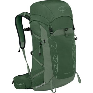 (���) �I�X�v���[�p�b�N �����Y �^���� 33L �o�b�N�p�b�N - �����Y Osprey Packs men Talon 33L Backpack - Men's Green Canopy/Pine Leaf