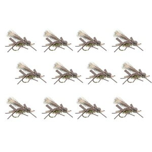 (���) �A���v�J ANT 12-�p�b�N Umpqua Amy's Ant 12-Pack Olive