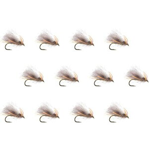 (���) �A���v�J �R�[��-�t�F�b�h �L���h RL CDC 12-�p�b�N Umpqua Corn-Fed Cad Rl Cdc 12-Pack Tan