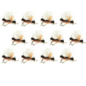 (���) �A���v�J �X�^�r�[ �`���r�[ 12-�p�b�N Umpqua Stubby Chubby 12-Pack UV Cinnamon