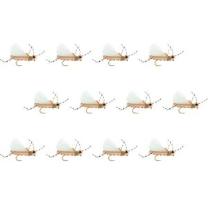 (���) �A���v�J �T���_�[ �z�b�p�[ 12-�p�b�N Umpqua Thunder Thighs Hopper 12-Pack Pink
