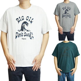 PATAGONIA パタゴニア Tシャツ メンズ スラッジ スウェル レスポンシビリ 半袖Tシャツ ロゴ 半袖 大きいサイズ ブランド かっこいい 送料無料 37533 Patagonia Men's Sludge Swell Responsibili Tee