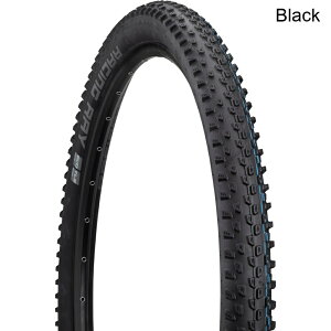 (���) �V�������x ���[�V���O���C�X�[�p�[�X�O���E���h�^�C�� schwalbe Racing Ray Super Ground Tire