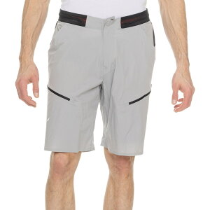 (���) �T���� �����Y �T���� �y�h���b�N �v�� �f�����X�g���b�` �J�[�S �V���[�c Salewa men Pedroc Pro DuraStretch Cargo Shorts Alloy