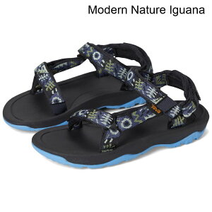 (���) �e�o �n���P�[��XLT2�i�g�h���[�j teva Hurricane XLT 2 (Toddler)