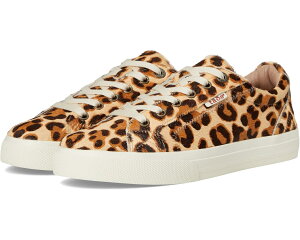 (���) �^�I�X �t�b�g�E�F�A ���f�B�[�X �v���� �\�E�� ���b�N�X Taos Footwear women Plim Soul Lux Leopard Pony Hair