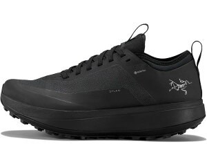 (���) ���f�B�[�X �T�C���� Gtx Arcteryx women Sylan GTX Black/Black 1