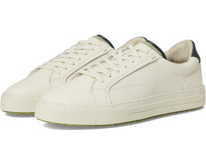 (���) �X�e�B�[�u�}�f�� �����Y Steve Madden men Xavier Cream