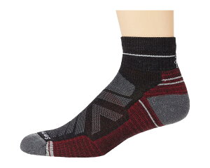(���) �X�}�[�g�E�[�� �����Y �p�t�H�[�}���X �n�C�N ���C�g �N�b�V���� �A���N�� Smartwool men Performance Hike Light Cushion Ankle Charcoal