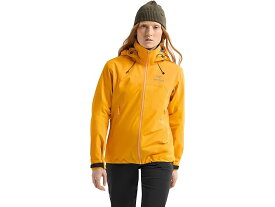 (取寄) アークテリクス レディース ベータ AR ジャケット Arc'teryx women Arc'teryx Beta AR Jacket Edziza