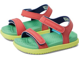 (取寄) ネイティブシューズ キッズ キッズ チャーリー シュガーライト (トドラー) Native Shoes Kids kids Native Shoes Kids Charley Sugarlite (Toddler) Hyper Red/Candy Green/Celery Green